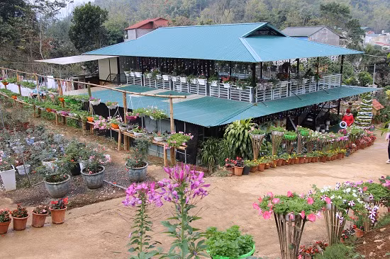 Một vườn hoa giữa thành phố Sơn La được trang trí đẹp mắt, thu hút hàng trăm du khách đến tham quan.