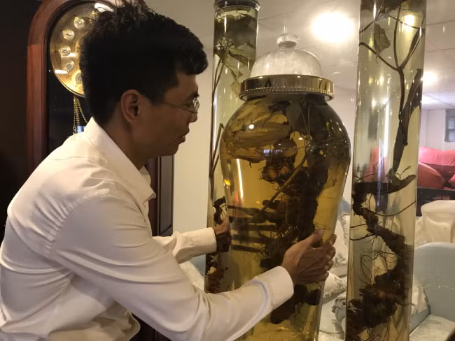 Đây là củ sâm đắt nhất trong bộ sưu tập của anh. Củ sâm này anh đã mua khá lâu, tại thời điểm đó không ai dám bỏ tiền ra mua vì nó có giá vài tỷ đồng. Không ít đại gia biết đến và trả giá rất cao nhưng anh vẫn chưa bán. Củ sâm ngọc linh này có trọng lượng 2,7kg, dài khoảng 1,3m. Với kinh nghiệm và hiểu biết về sâm, anh dự đoán củ sâm này có tuổi đời khoảng 130 năm.