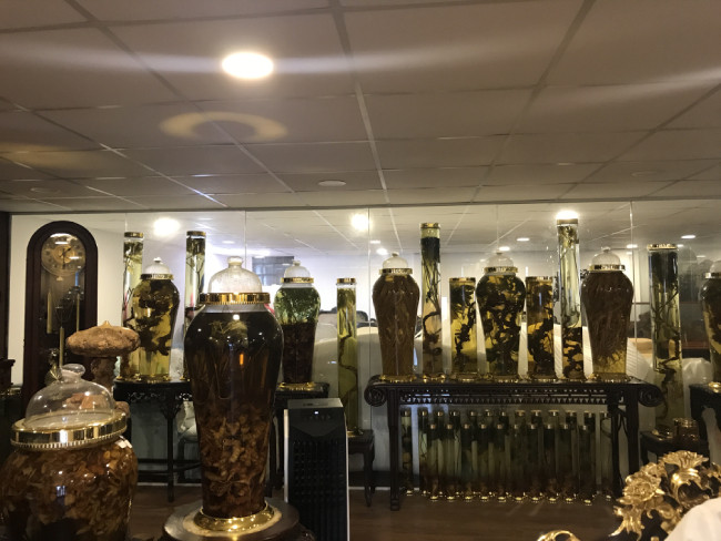 Theo anh, giá sâm ngọc linh năm nay bị đẩy lên cao rất nhiều. Anh là người rất bạo mua sâm cũng không dám mua. Anh Quang cũng chia sẻ hiện trong bộ sưu tập của anh nhiều củ sâm có giá hàng tỷ đồng. Không ít củ có giá trị cao, anh phải thuê một xe riêng đi vào tận Kon Tum để vận chuyển ra Hà Nội.