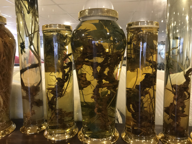 Dai gia chi chuc trieu thue o to rieng cho mot cu sam quy