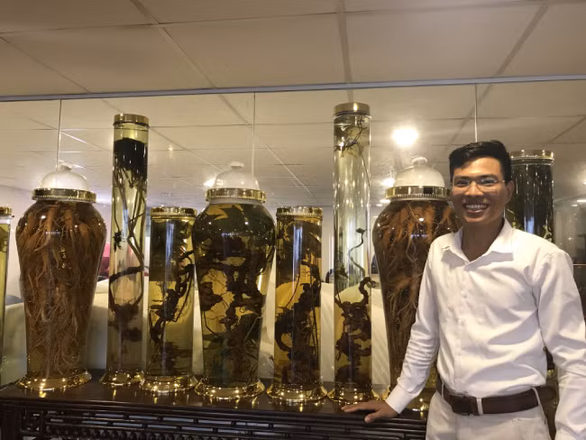 Theo anh Quang, củ sâm đầu tiên anh mua được ở vùng Kon Tum, có giá hơn 10 triệu đồng. Tại thời điểm đó, củ sâm ngọc linh này thuộc loại đắt. Sau hơn 10 năm tìm mua, hiện anh có bộ sưu tập sâm ngọc linh “khủng”, số lượng sâm ngọc linh trong nhà không đếm được.