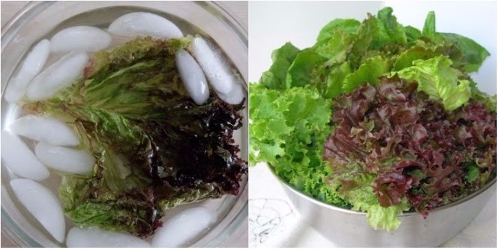 Loai gia vi quen thuoc co the ho bien rau heo tro thanh tuoi roi