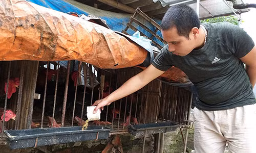 Tat bat cham ga tien vua, ga 9 cua phuc vu Tet nguyen dan