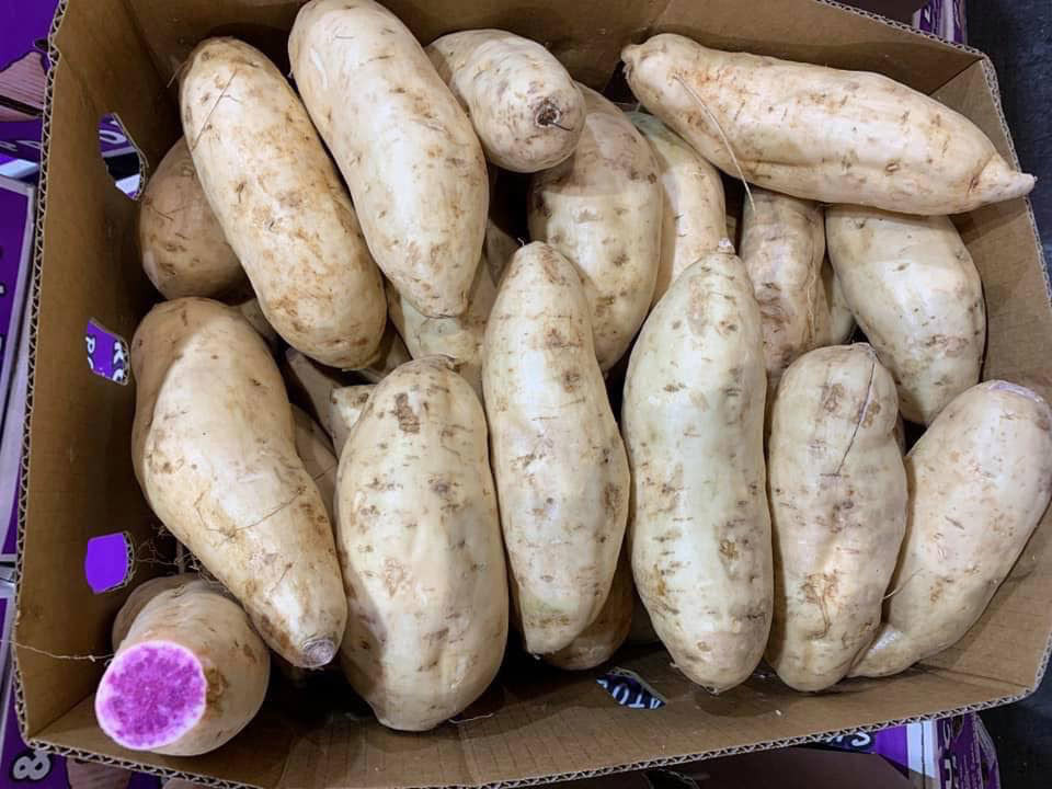 Dan Viet khong ngai chi tien trieu mua khoai lang tim Uc ve an-Hinh-2