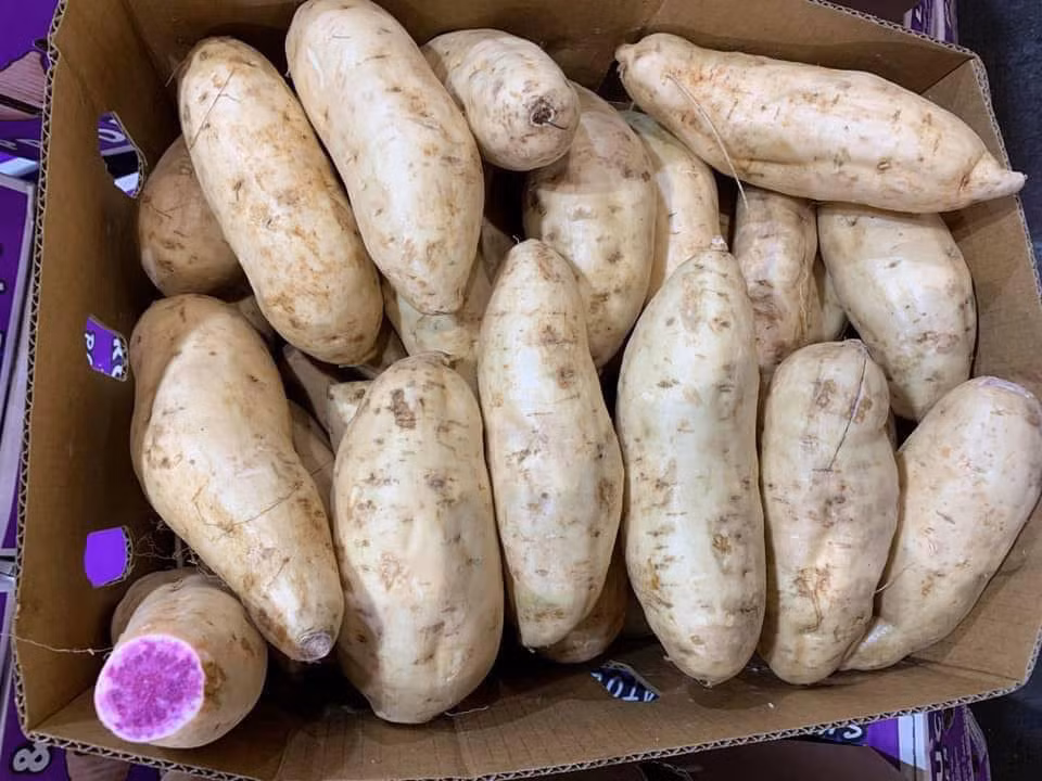 Dan Viet khong ngai chi tien trieu mua khoai lang tim Uc ve an-Hinh-2