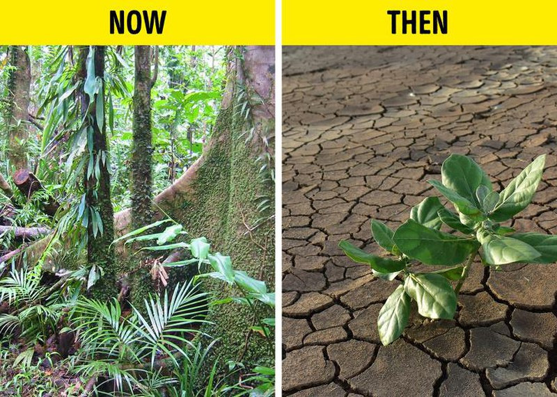 Se ra sao neu dien tich dat va nuoc tren Trai Dat.. hoan doi cho nhau?