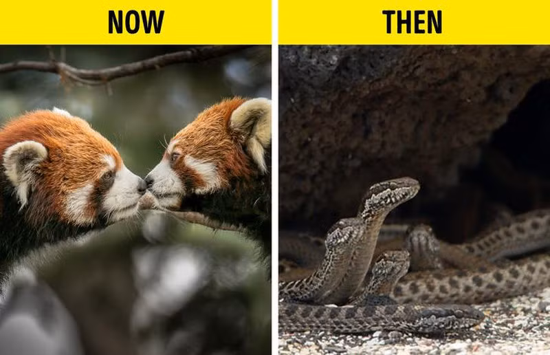 Se ra sao neu dien tich dat va nuoc tren Trai Dat.. hoan doi cho nhau?-Hinh-3