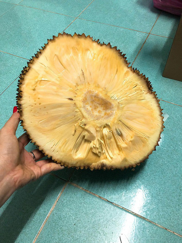 7. Mít không hạt Mít không hạt khi bổ ra hoàn toàn không có nhựa, múi và xơ có màu vàng, vị ngọt thanh và có thể ăn cả xơ, không thơm nồng nặc như các giống mít thông thường. Tùy từng thời điểm mà mít không hạt có giá dao động từ 70.000-80.000đ/kg, có lúc lên đến gần 100.000đ/kg.