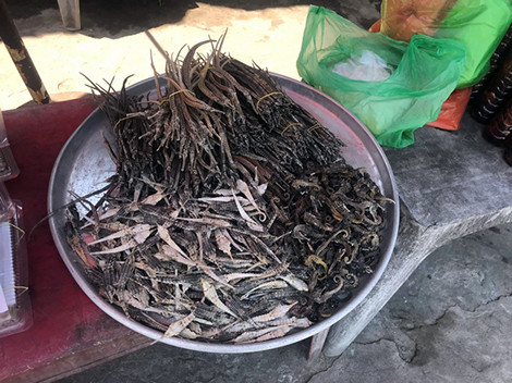 Dai gia san tan hang o de tom 