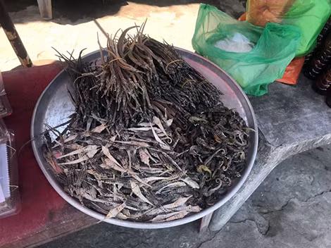 Dai gia san tan hang o de tom 