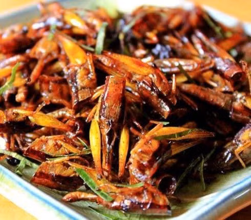 Chi em Ha thanh do xo mua chau chau lam mon nhau chieu chong-Hinh-2