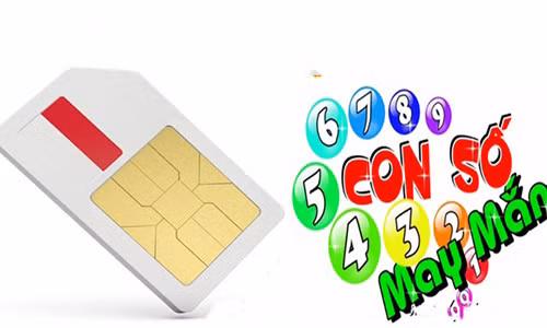 Cu chon dung so duoi dien thoai hop tuoi, 12 con giap se huong no tai loc