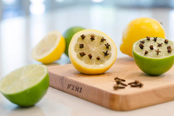 Cong thuc don gian duoi ca dan muoi ra khoi nha hieu qua