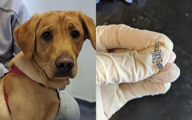 Nuot nhan dinh hon cua chu, chu cho buoc phai toi bac si de lay ra