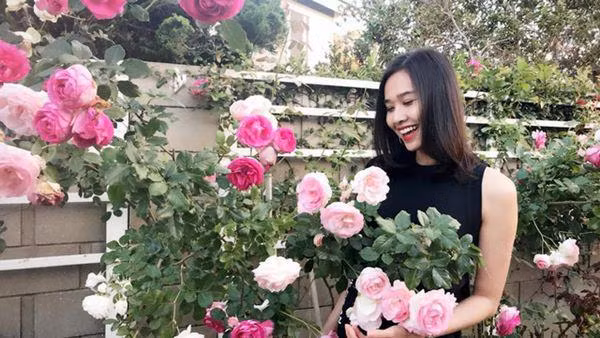 Được biết, ngoài giàn hoa hồng nở rực rỡ, vườn nhà Dương Mỹ Linh tại Mỹ còn có rất nhiều loại cây ăn trái như đào, táo… và các loại rau xanh để phục vụ gia đình. Tình cũ Bằng Kiều từng cho biết, do điều kiện khí hậu ở bang California rất thích hợp cho cây trồng, nên việc chăm sóc cũng khá thuận lợi, hầu như nhà nào cũng có cây ăn quả.