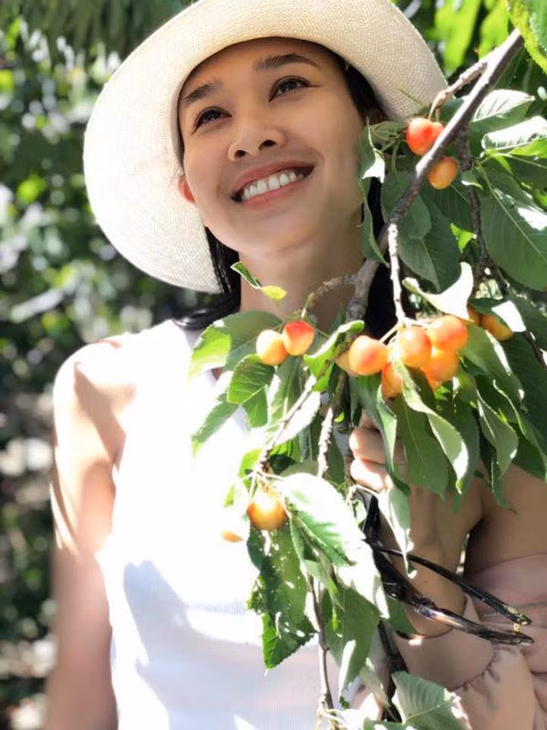 Trong vòng hơn 1 năm qua, chỉ khi nào rảnh rỗi, Dương Mỹ Linh mới thực hiện một vài bộ hình mới để làm kỉ niệm và tới dự các sự kiện của đồng nghiệp thân thiết. Cô cũng đi đi, về về giữa 2 nước Mỹ và Việt Nam để tiện thăm hỏi người thân, trông nom cơ ngơi riêng mình mất nhiều năm để gây dựng. Đặc biệt, trong loạt ảnh được đăng tải nhiều người nhận ra vườn nhà nàng hoa hậu đẹp như thiên đường với đủ loại rau trái, hoa quả khiến fan choáng ngợp.