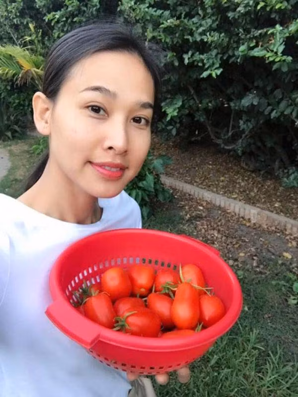 Dương Mỹ Linh còn tiết lộ, rau xanh và trái cây trong vườn nhà cô có khi thu hoạch cũng không thể ăn hết vì quá nhiều.