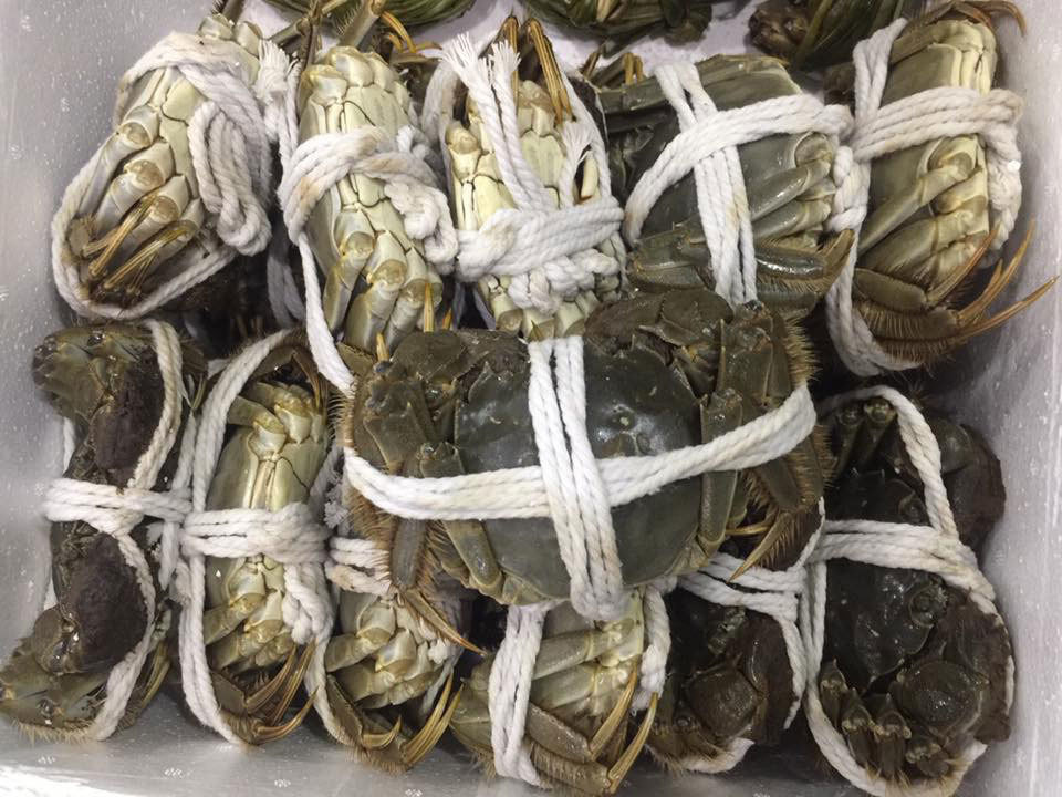 Dac san gioi thuong luu Trung Quoc, ve tran cho Viet Nam 45 ngan/con-Hinh-2