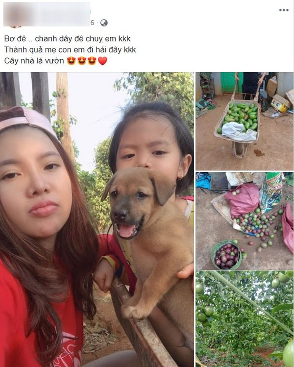 Quách Phượng trở về quê nhà Đak Nông cùng con gái đi vườn hái quả.