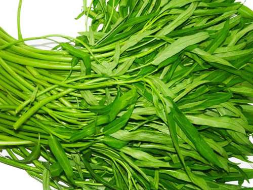 Thuc don danh cho nguoi bi benh cao huyet ap