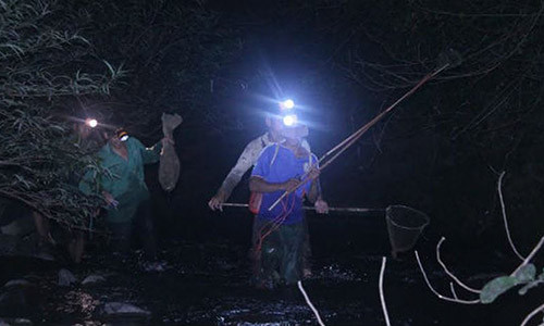 Dem mua lanh vo rung san loai chang hiu kiem bon tien