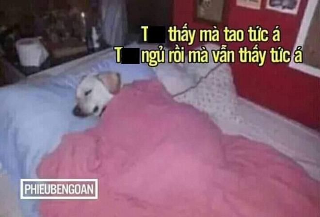 Tuy nhiên, dù tranh luận thế nào, những người tôn trọng lịch sử và tác phẩm văn học của Nam Cao vẫn cảm thấy "không phục". Ảnh: Phiếu bé ngoan.