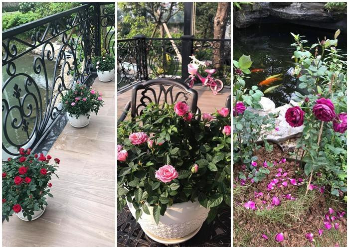 Một vài góc trong căn biệt thự triệu đô của vợ chồng đại gia kim cương.