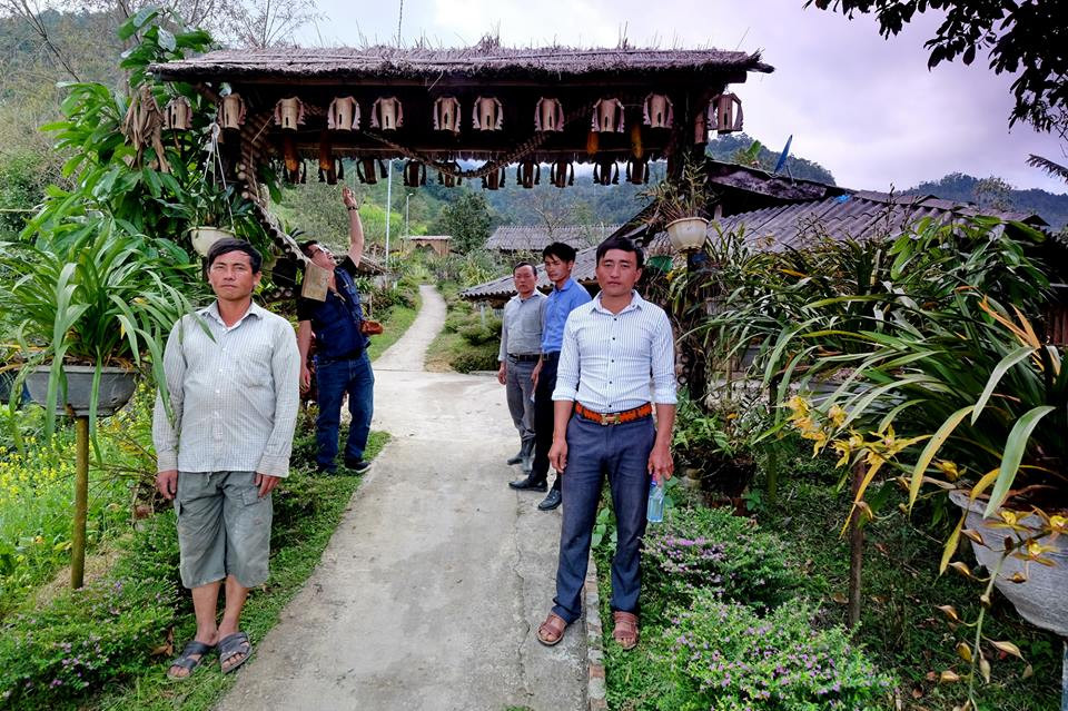 Cũng giống như anh Sà, nhà anh Vàng A Lai trong bản Sin Súi Hồ cũng tham gia trồng lan từ nhiều năm nay. Vườn lan của anh được chăm sóc, cắt tỉa kĩ càng nên chậu nào cũng xanh mướt, rủ bóng rất đẹp. Anh Lai bảo rằng: Hiện tôi có hơn trăm chậu lan 4 năm tuổi. Năm ngoái lái buôn ở dưới xuôi lên trả 2-3 triệu/chậu, tôi không muốn bán bởi mỗi chậu lan là một tác phẩm chứa đầy công phu của người trồng.