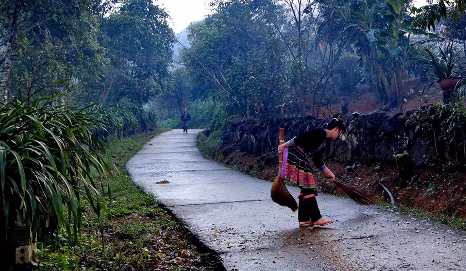 Không dừng lại ở việc trồng địa lan, anh Sà còn mạnh dạn đưa phong lan và giống lan tím về trồng. Với niềm đam mê của mình, anh đã làm cho loài lan khó tính nhất đâm chồi, nở hoa. Giá trị của loài lan tím còn cao hơn cả địa lan. Dự kiến 2 năm nữa, mấy giàn lan tím của anh Sà cho thu. Mỗi kg lan tím bán được cả triệu đồng. “Giống lan ở nơi đây có sẵn nên việc đầu tư không hết nhiều vốn lắm. Duy chỉ có điều, chơi lan nó kén người. Mình cũng chịu khó thì mới thành công” - anh Sà tâm sự.