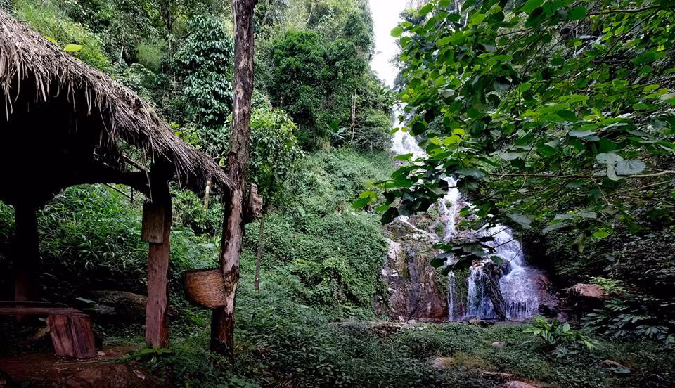 Lần đầu gặp anh Sà, ai cũng nghĩ anh là cán bộ huyện lên bản chơi, chứ không nghĩ là công dân của cái bản nằm tít trên núi cao này. Sơ vin, áo trắng cổ cồn, đi xe máy đời mới, tác phong nhanh nhẹn là những gì tôi cảm nhận được về anh. “Có lẽ do chơi cây cảnh nên tôi trẻ lâu”, anh Sà hóm hỉnh khi mời người khách vào nhà. Nhà anh Sà đông con nhưng anh cũng sắm được đầy đủ tiện nghi sinh hoạt. Tất cả những thứ đó đều nhờ vườn lan mà ra. Anh Sà kể: Trước đây, vợ chồng tôi chỉ làm nương. Ngày nào cũng đi nương từ sáng sớm đến khi mặt trời khuất núi, vậy mà vẫn lo thiếu cái ăn, cái mặc. Cách đây 5 năm, khi phong trào khai thác phong lan, địa lan bán cho miền xuôi lên cao trào; lan trong rừng Sin Súi Hồ trở nên cạn kiệt; khách đặt mua cũng không có mà bán.