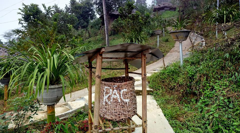 Dọc con đường nhỏ dẫn vào sân nhà của anh Hạng A Sà – “vua” lan của bản Sin Súi Hồ, bầy rất nhiều loại lan khác nhau. Ngoài địa lan, anh còn trồng thêm lan tím và phong lan. Chậu địa lan nào cũng xanh mướt. Sau mấy năm dày công vun trồng đến giờ anh Sà có trên 500 chậu địa lan, hàng trăm giỏ phong lan và 3 giàn phong lan tím. Tất cả địa lan và phong lan đèu được anh Sà chăm sóc cẩn thận. Ước tính vườn lan của anh Sà trị giá cả mấy tỉ đồng.