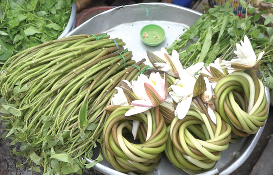 Bông súng trắng - sản vật mùa lũ.