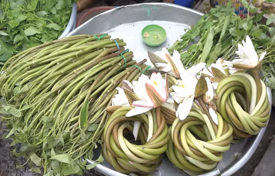 Bông súng trắng - sản vật mùa lũ.