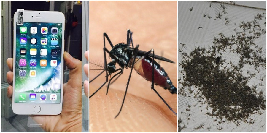 Cach duoi sach ruoi muoi khong ton mot xu chi nho dien thoai