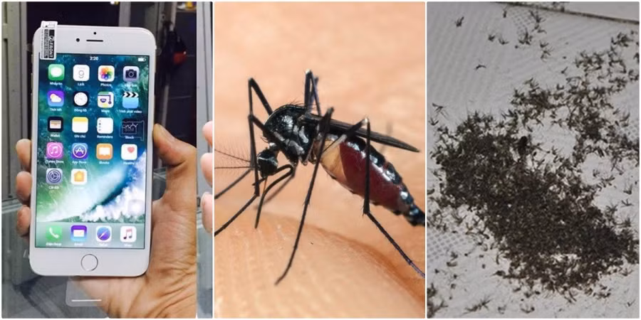 Cach duoi sach ruoi muoi khong ton mot xu chi nho dien thoai