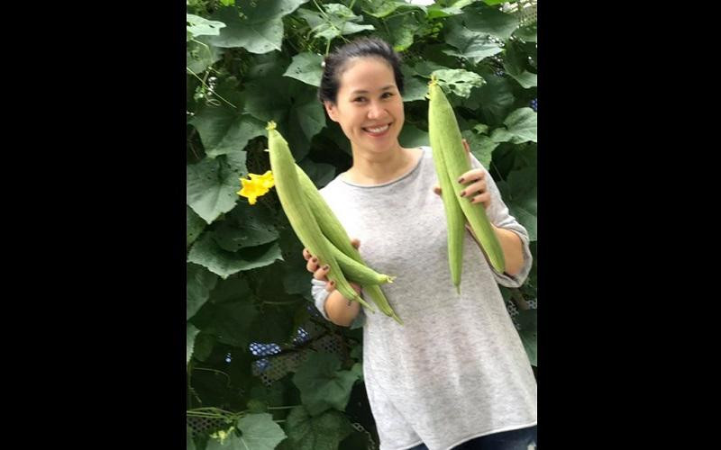 Đặc biệt là ở phần ban công khá rộng, cô tận dụng để trồng nhiều hoa, cây xanh và cả rau sạch. Bận rộn với lịch trình công việc và chăm con nhỏ nhưng nữ diễn viên vẫn cố gắng ra thăm vườn mỗi ngày và tự tay tưới nước, tỉa lá.