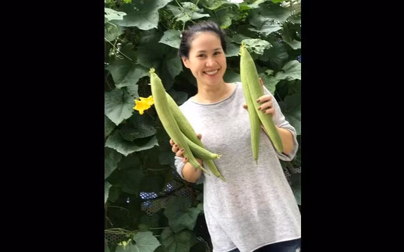 Đặc biệt là ở phần ban công khá rộng, cô tận dụng để trồng nhiều hoa, cây xanh và cả rau sạch. Bận rộn với lịch trình công việc và chăm con nhỏ nhưng nữ diễn viên vẫn cố gắng ra thăm vườn mỗi ngày và tự tay tưới nước, tỉa lá.