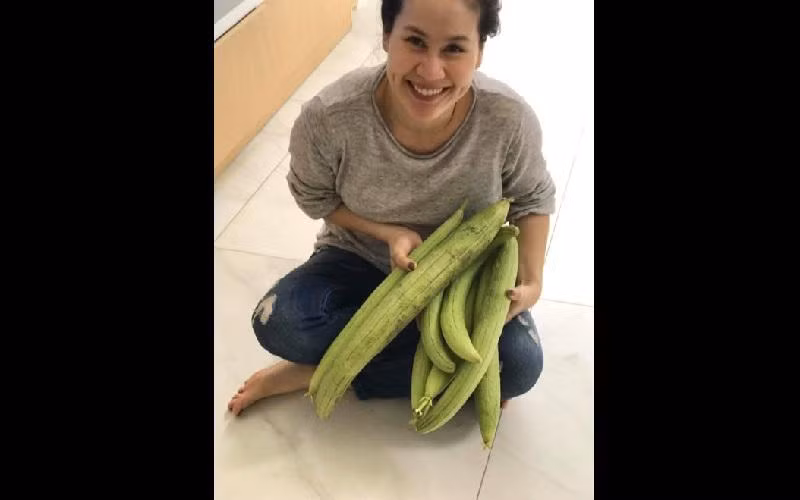 Những quả mướp sau khi thu hoạch được Thân Thúy Hà chế biến thành các món ăn thanh mát mùa hè như canh, luộc. Chị chia sẻ vì gia đình đông người lại ăn rau thay cơm nên chỉ ba ngày là hết 10 quả mướp.