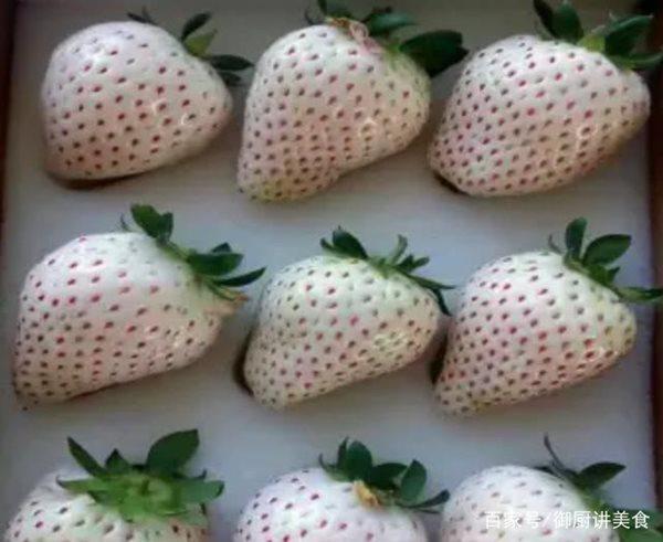 4 loai qua quy hiem tren the gioi, co tien chua chac mua duoc-Hinh-2