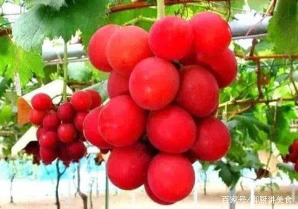 4 loai qua quy hiem tren the gioi, co tien chua chac mua duoc-Hinh-4