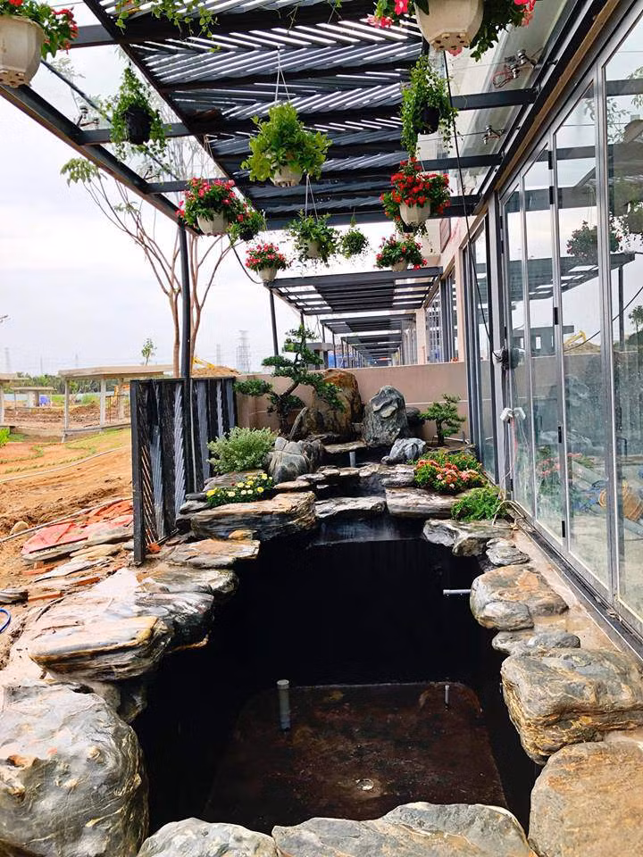 Bể cá đã được xây hoàn thiện nhưng chưa bơm nước và xử lý nước trước khi thả cá.