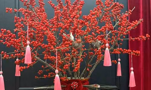 Hoa dao do au ban gan trieu dong mot canh dip Tet Duong lich