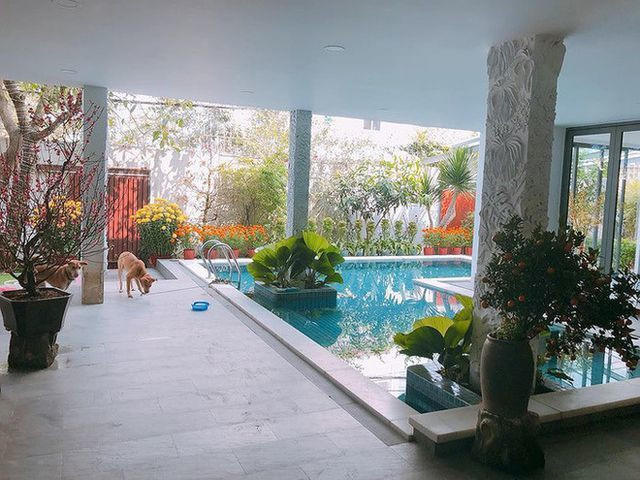 Trong căn nhà có cả hồ bơi.