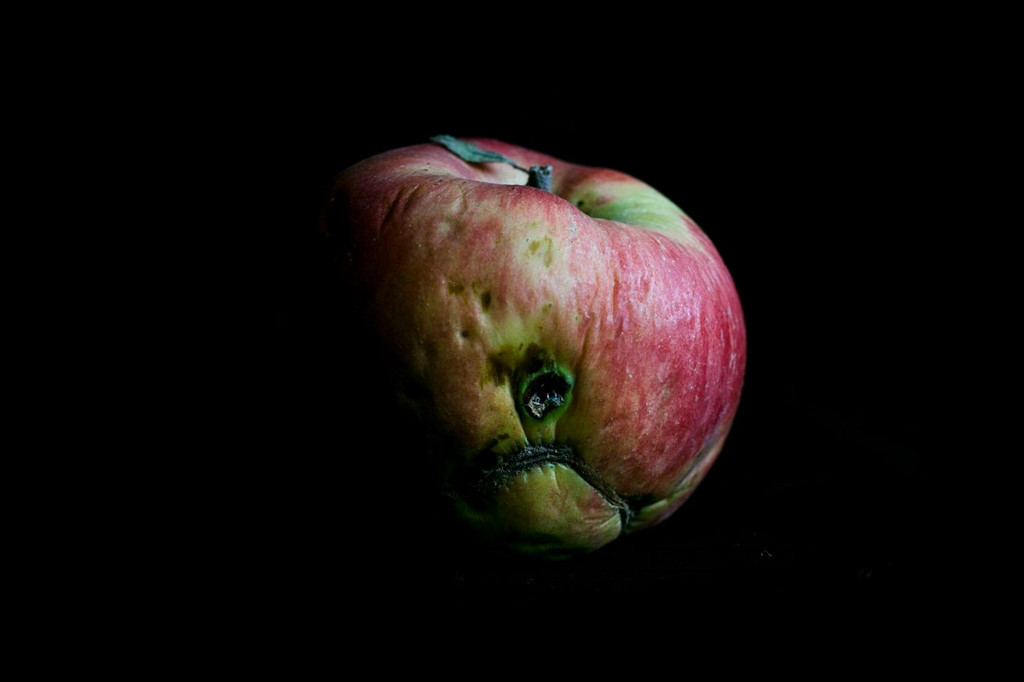 Một quả táo bị nhiễm phóng xạ ở bên trong vùng cách ly. Khu vực có diện tích 2.600 km vuông này hiện là một trong những nơi nhiễm phóng xạ đậm đặc nhất trên Trái Đất, phần lớn nằm trên lãnh thổ Ukraine nhưng cũng có một phần của Nga và Belarus.