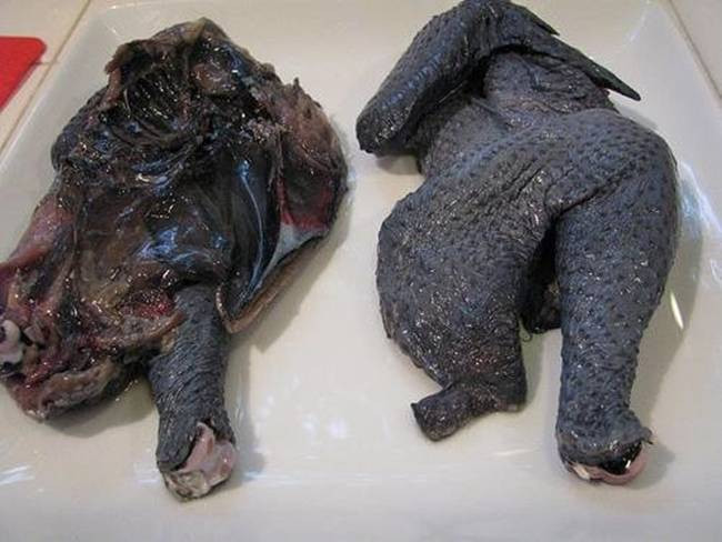 Không chỉ được truyền tai là mang lại may mắn mà thịt của loại gà này có giá trị dinh dưỡng cao đặc biệt tốt cho phụ nữ trước và sau sinh.