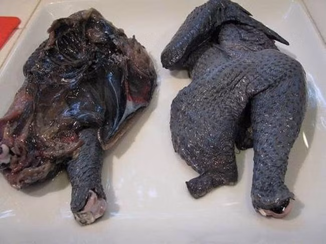 Không chỉ được truyền tai là mang lại may mắn mà thịt của loại gà này có giá trị dinh dưỡng cao đặc biệt tốt cho phụ nữ trước và sau sinh.