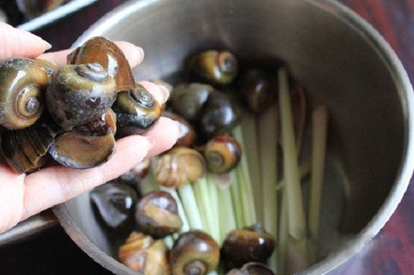 Nhung sai lam chet nguoi khi an oc ma nhieu nguoi mac phai