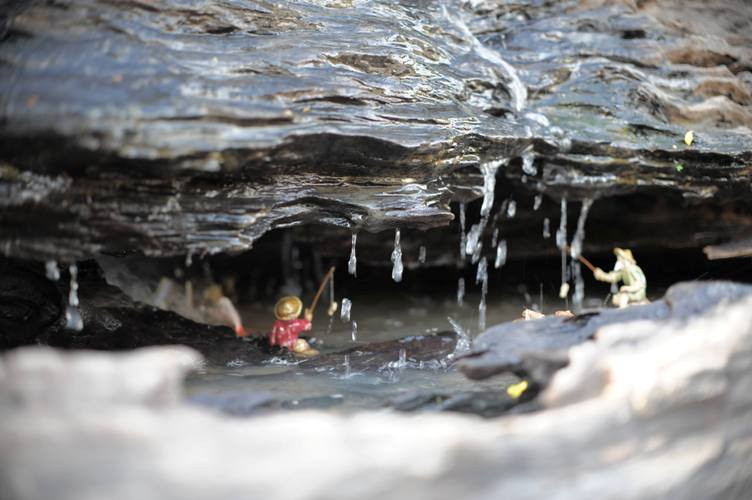 Tác phẩm đầu tiên có tên "Động mộc nghênh xuân" kích thước dài 6,2m, chiều ngang 2,6m, cao 2,7, nặng 6 tấn, giá gần 1 tỉ đồng. Nằm bên cạnh là tác phẩm “Một thoáng quê hương” kích thước chiều dài 4,6m, ngang 2,6m, cao 2,4m, nặng 3,5 tấn, với giá 480 triệu đồng. Hai tác phẩm được tạo trên 2 gốc cây gỗ khổng lồ hàng trăm năm tuổi.