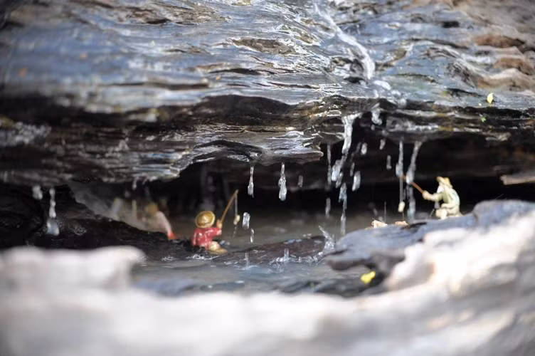 Tác phẩm đầu tiên có tên "Động mộc nghênh xuân" kích thước dài 6,2m, chiều ngang 2,6m, cao 2,7, nặng 6 tấn, giá gần 1 tỉ đồng. Nằm bên cạnh là tác phẩm “Một thoáng quê hương” kích thước chiều dài 4,6m, ngang 2,6m, cao 2,4m, nặng 3,5 tấn, với giá 480 triệu đồng. Hai tác phẩm được tạo trên 2 gốc cây gỗ khổng lồ hàng trăm năm tuổi.