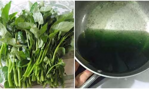 Dau hieu rau muong ngam chat gay ung thu cac me nen biet